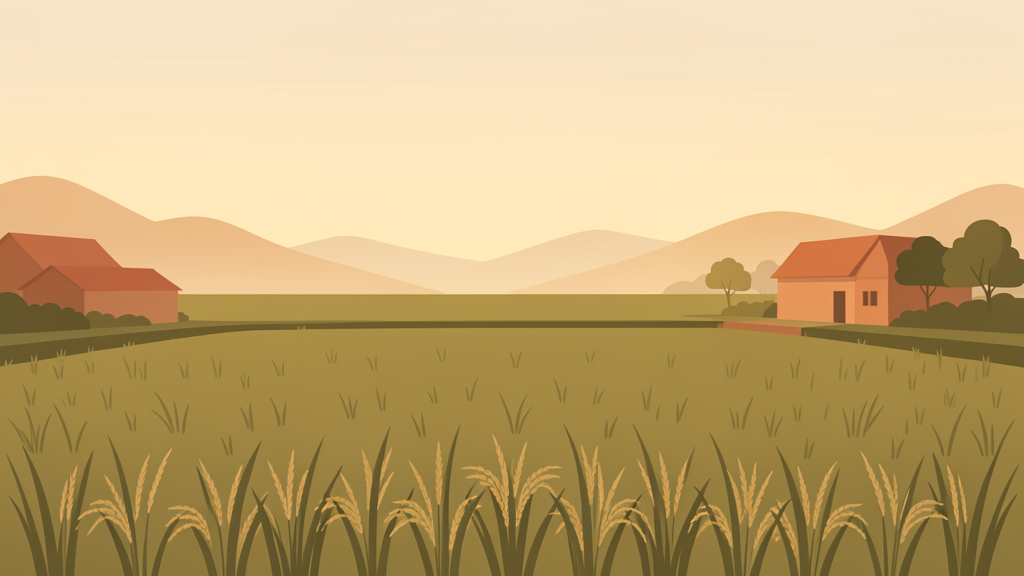 Đồng ruộng lúa nước và canh tác nông nghiệp tại Việt Nam
