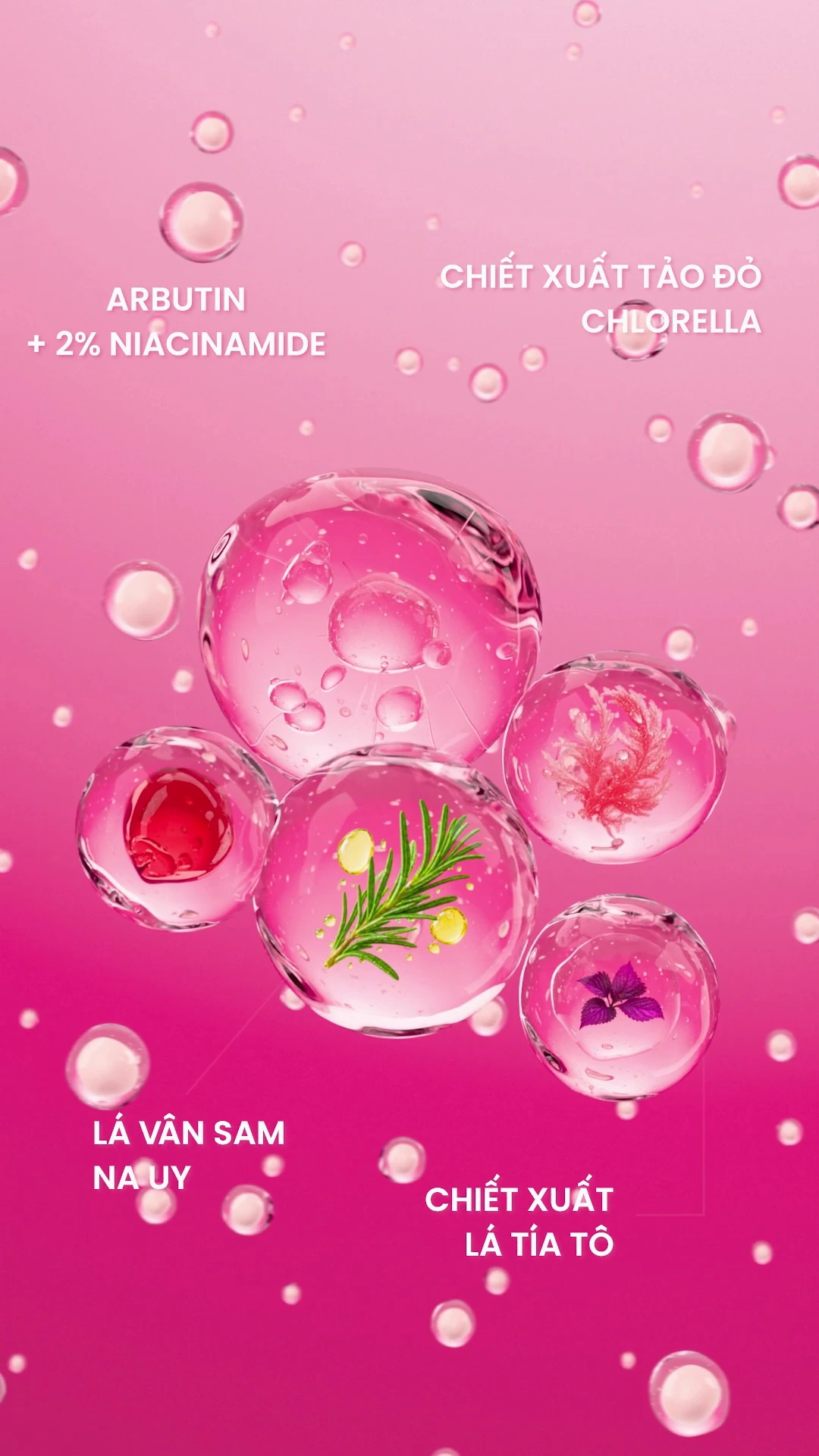 Scene 4 Botanical Skincare Nutrient Bubbles